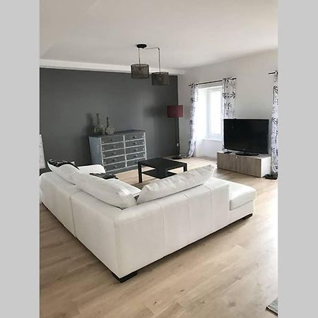 Annonay Centre, Grand Appartement Cosy, 3 Chambres 외부 사진