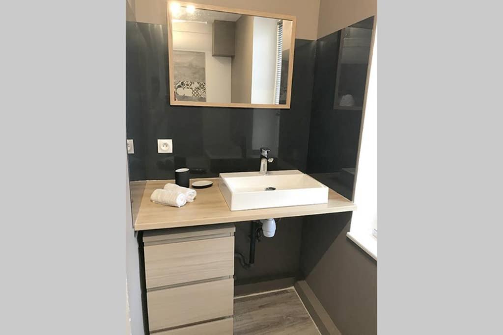 Annonay Centre, Grand Appartement Cosy, 3 Chambres 외부 사진