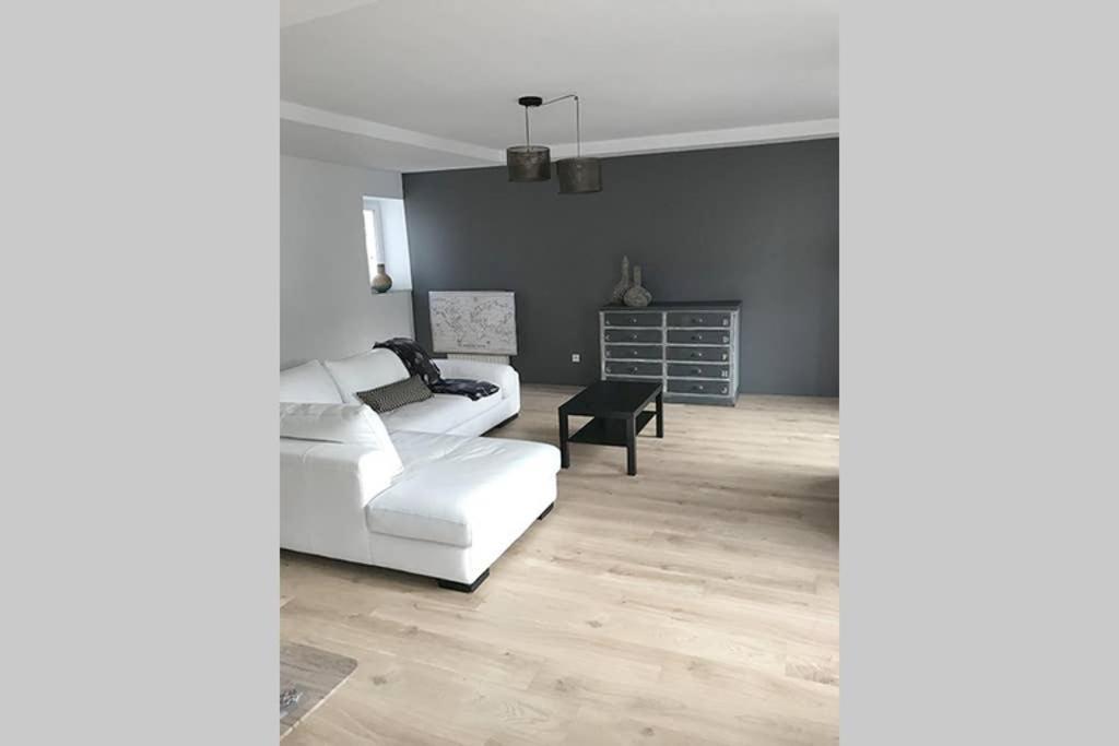 Annonay Centre, Grand Appartement Cosy, 3 Chambres 외부 사진