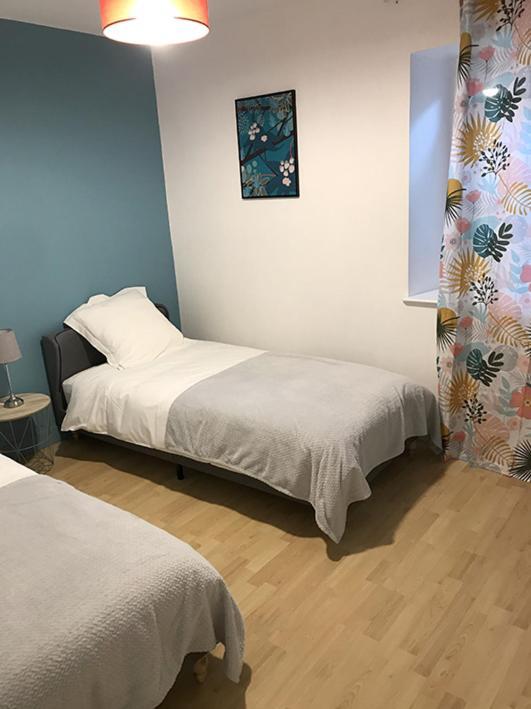 Annonay Centre, Grand Appartement Cosy, 3 Chambres 외부 사진
